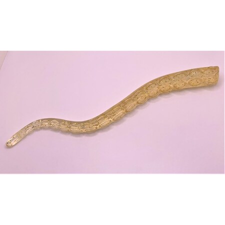 Bottom Candy SoftPlastic Octopus Tentacle, FloatingSinking 1 Oz, 10Inch, Squid Flavored, Pineapple Clear BC10PA